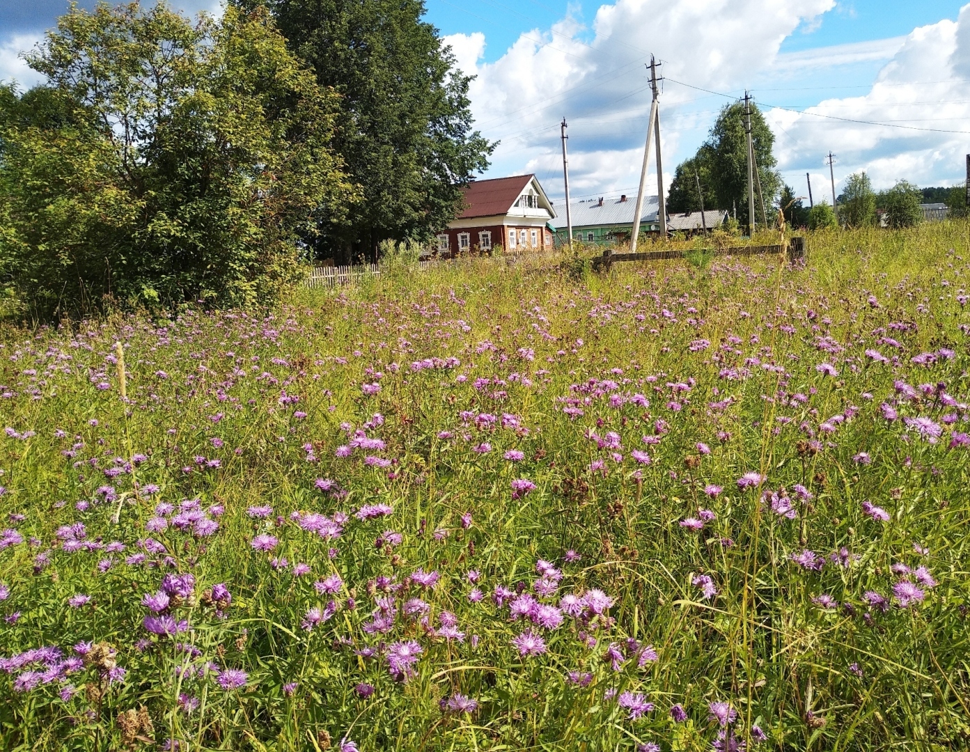Как я побывала в глухой деревне, что меня там больше всего удивило