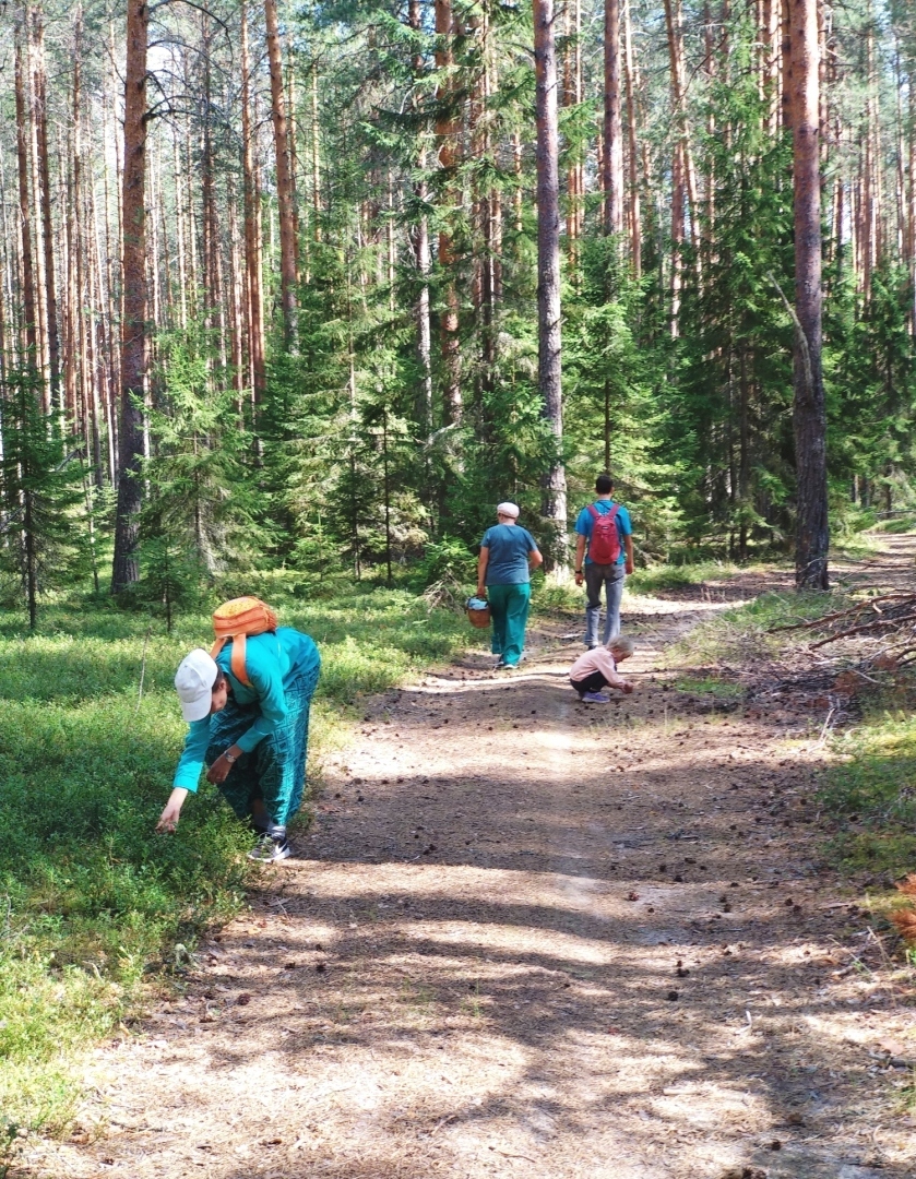 Как я побывала в глухой деревне, что меня там больше всего удивило