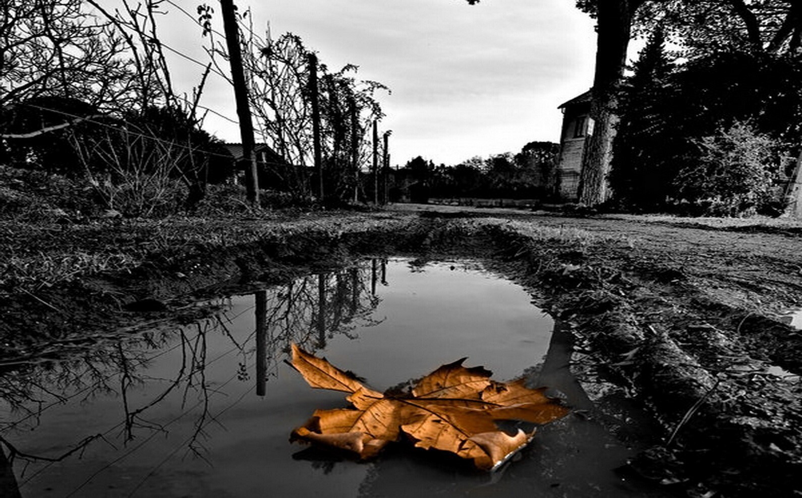 365 или Меню на каждый день "Суп из лужи".