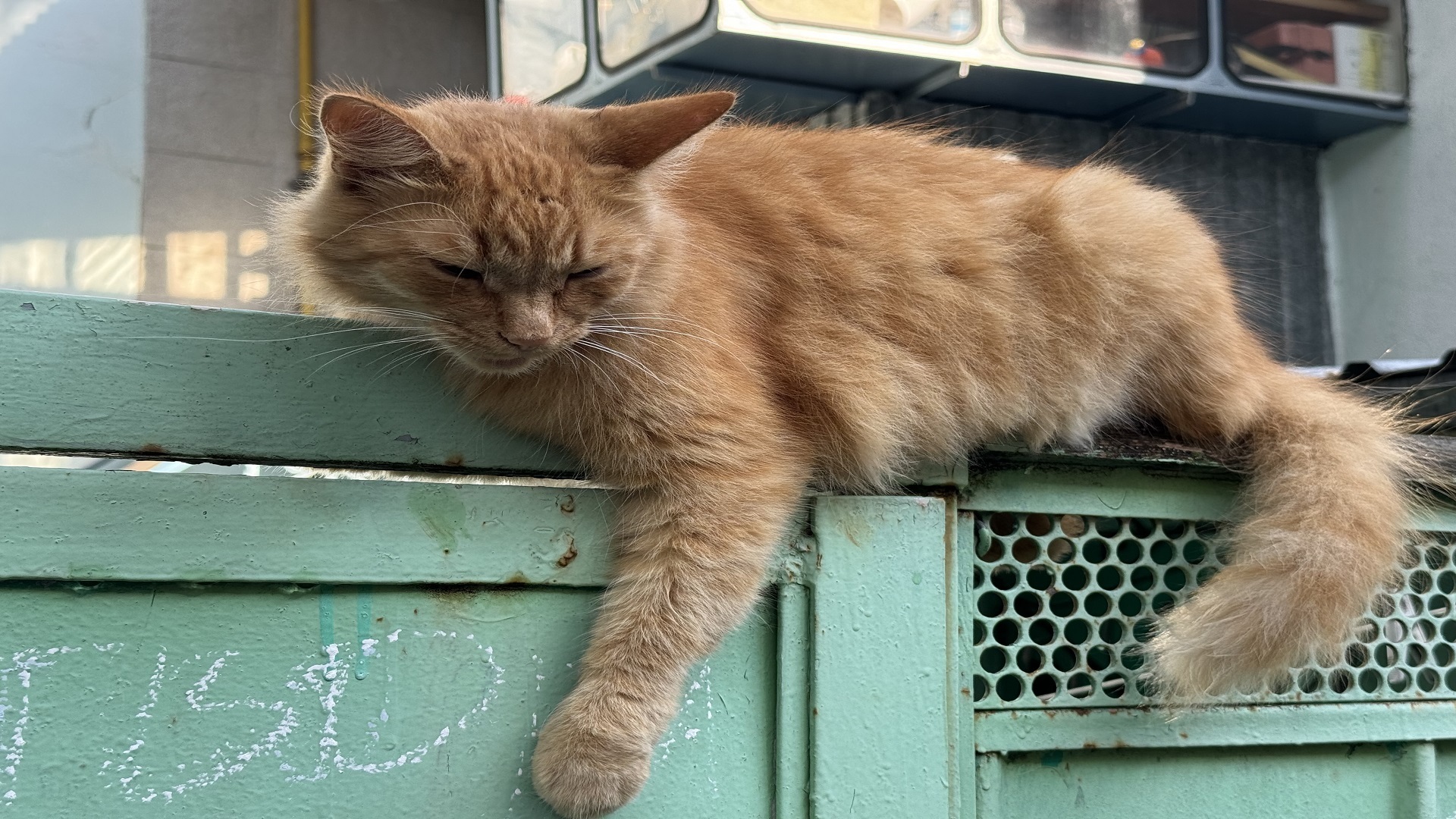 Геленджик. Голубая бухта. С этого курорта вы захотите сбежать и больше никогда не возвращаться