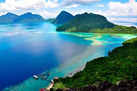 Браконьеры охотятся на редкие виды птиц через онлайн-группы