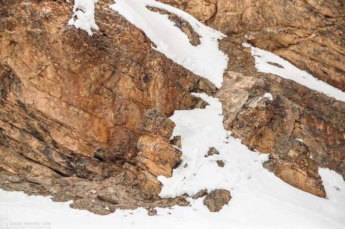 На этих фотографиях Saurabh Desai искусно маскируется Снежный Барс