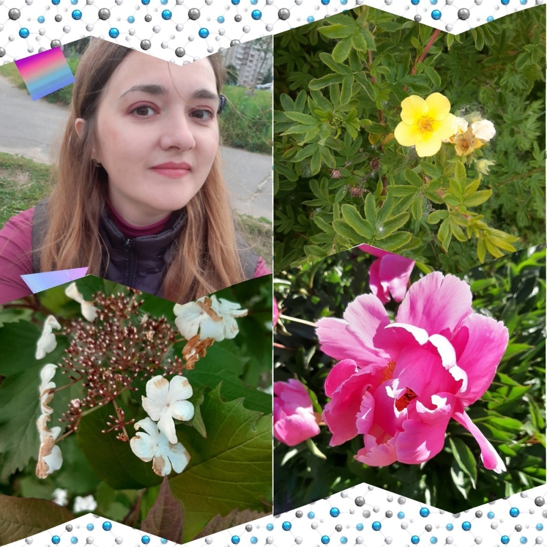 Нам запретили сажать цветы и кустарники около многоквартирного дома: это правомерно?