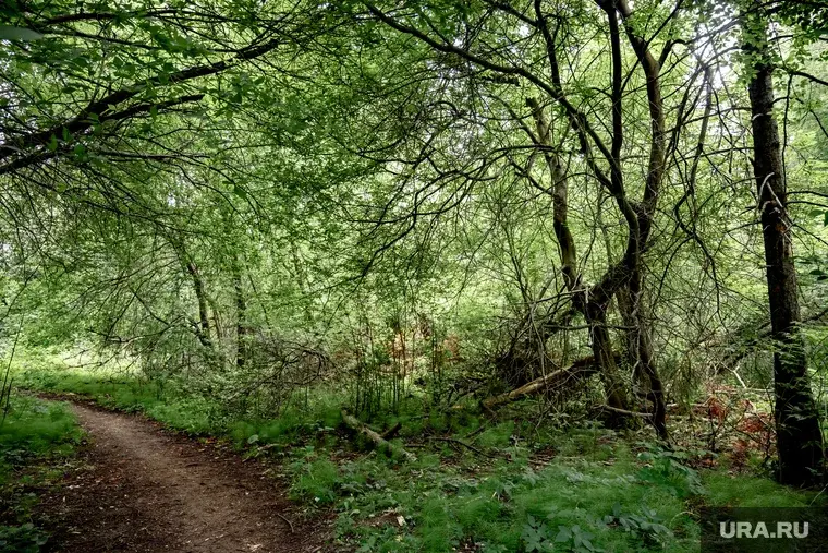 Лучшие аномальные и мистические места отдыха в Свердловской области
