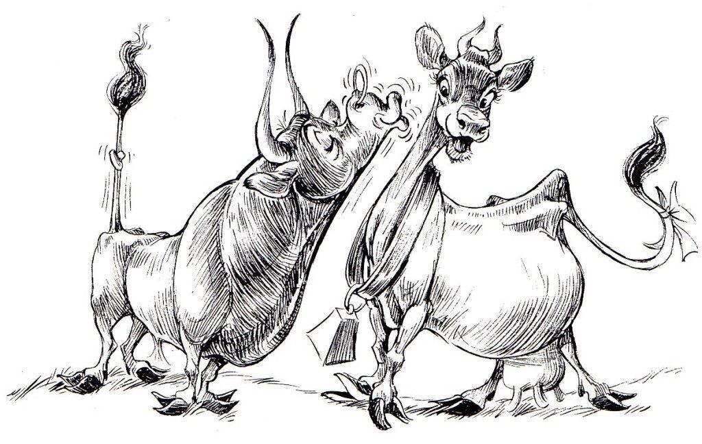 Эмпатичный Кологривый, эротичные коровы и пять дам на одной площадке , или Звезды о сериале «Комбинация»