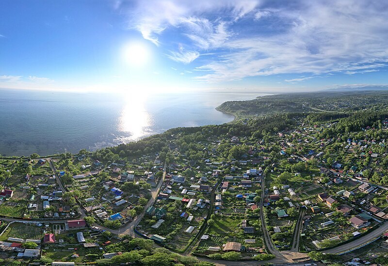 Соседи по СНТ держат на своем участке собаку: это правомерно?