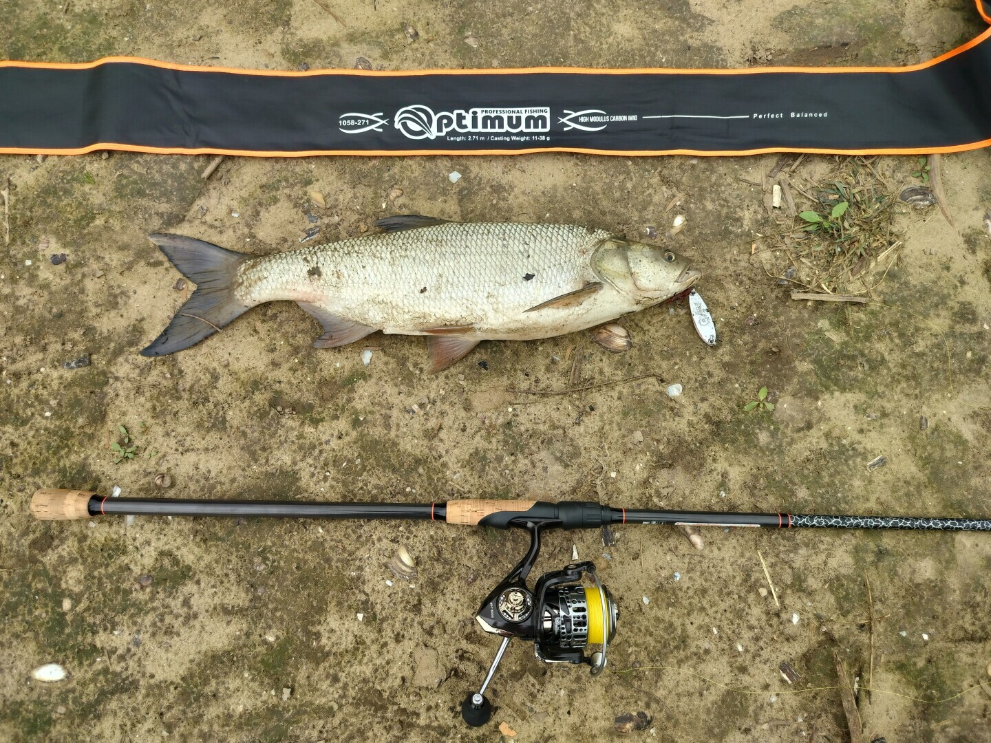 Как Володька своего первого в жизни Жереха ловил.