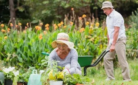 Увлечения для пожилых людей: разнообразие интересов и польза для здоровья