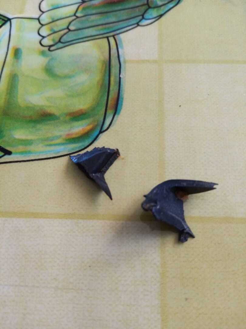 Продукция «Магнит Кухня». Стоит ли ее покупать и что может попасться в упаковке готовой еды?