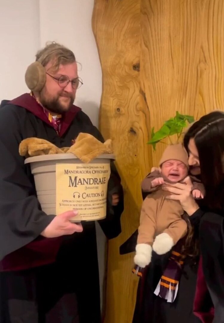 ⚡⚡⚡ «Сомнительные акценты». Депутаты уверены, что развлечения детей в духе Гарри Поттера не отвечают интересам страны