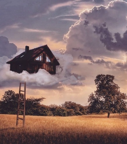 Новый метод утилизации тел усопших. Что учёные Великобритании предлагают вместо похорон?