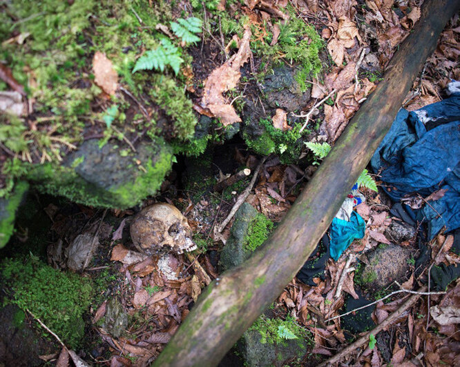 5 жутко выглядящих, достопримечательностей света