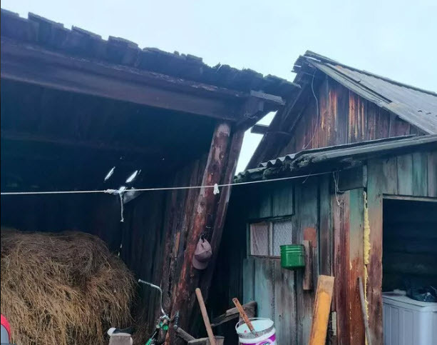 Чудовищная жестокость подростков в Иркутской области. Что им грозит?