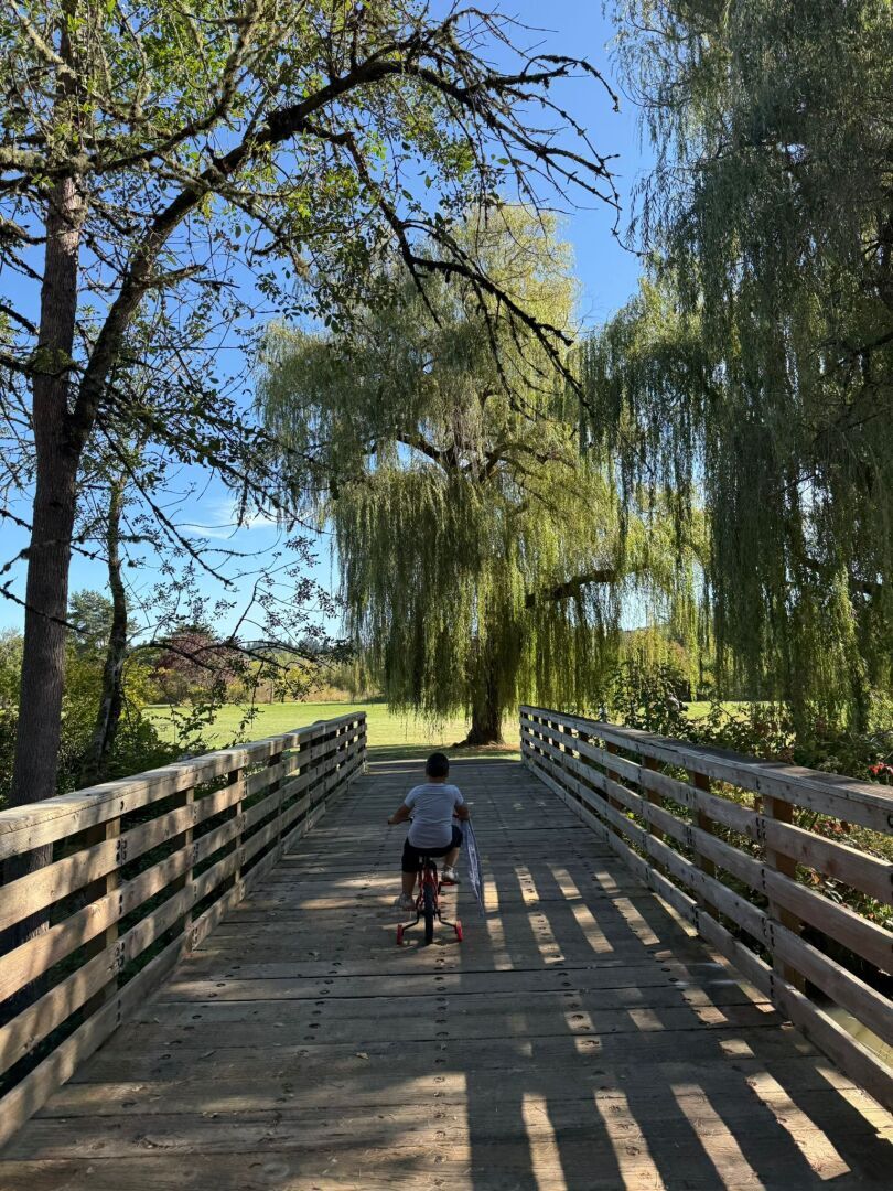 Вот я и в Америке! Как я 17 часов в самолете летела с ребенком
