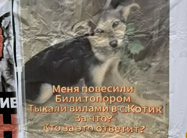 Чудовищная жестокость подростков в Иркутской области. Что им грозит?