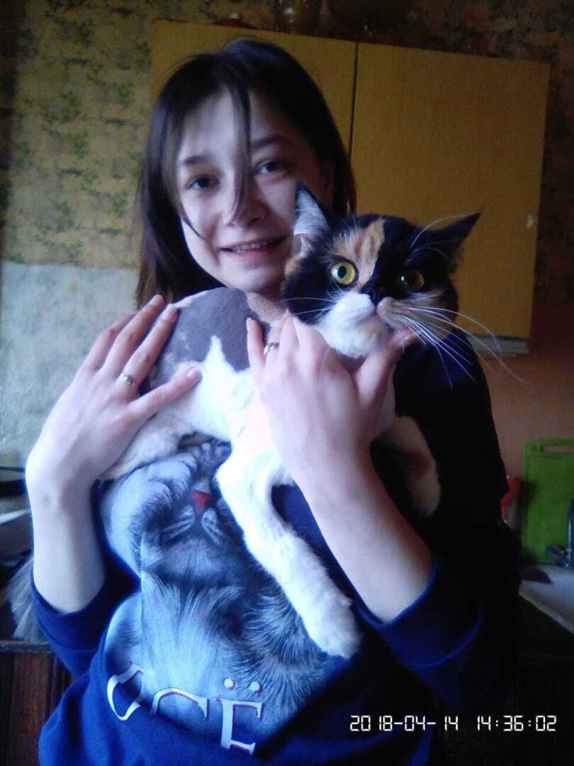 Наша кошка Моника