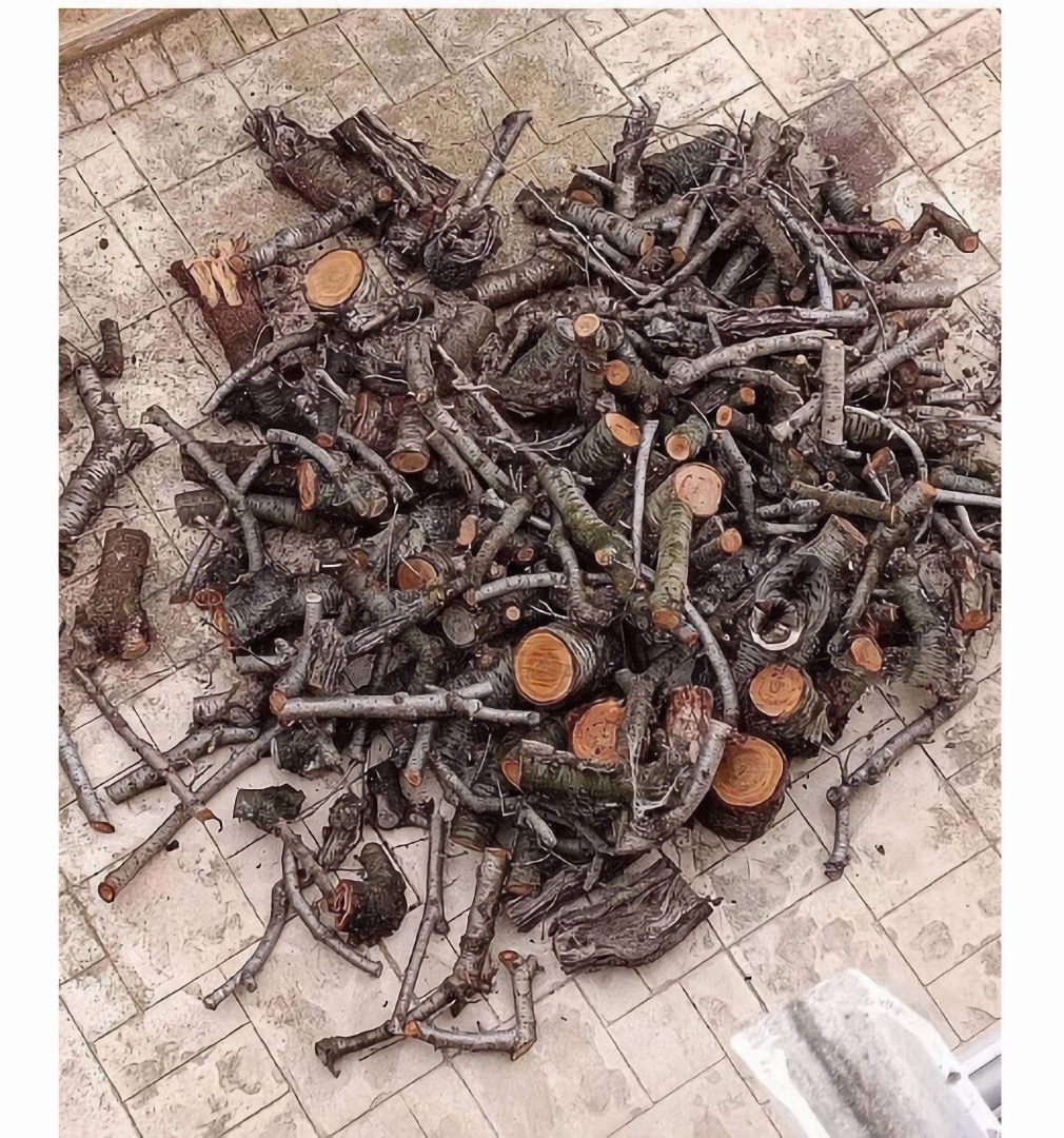 Загадка от кота Матвея из букваря котов !