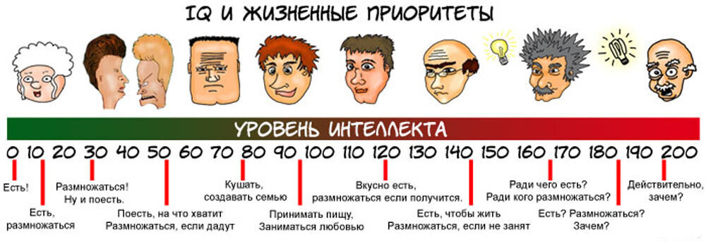 7 признаков высокого уровня интеллекта (IQ)