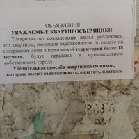50C034E3-76AE-4769-8D45-23A6D47B52E6.jpeg