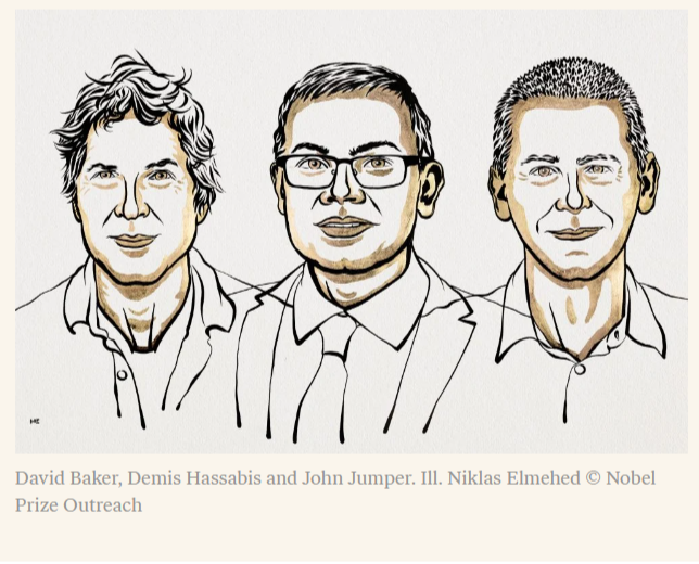 «Компьютерный дизайн белков». За что вручили Нобелевскую премию по химии в 2024 году