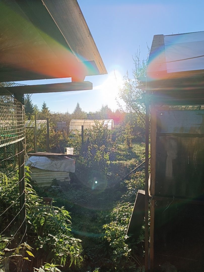 Книги, которые нас выбирают.