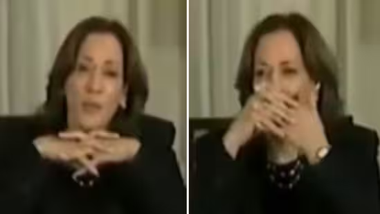 Камала Харрис, похоже, отвлеклась во время прямой трансляции брифинга по урагану Милтон