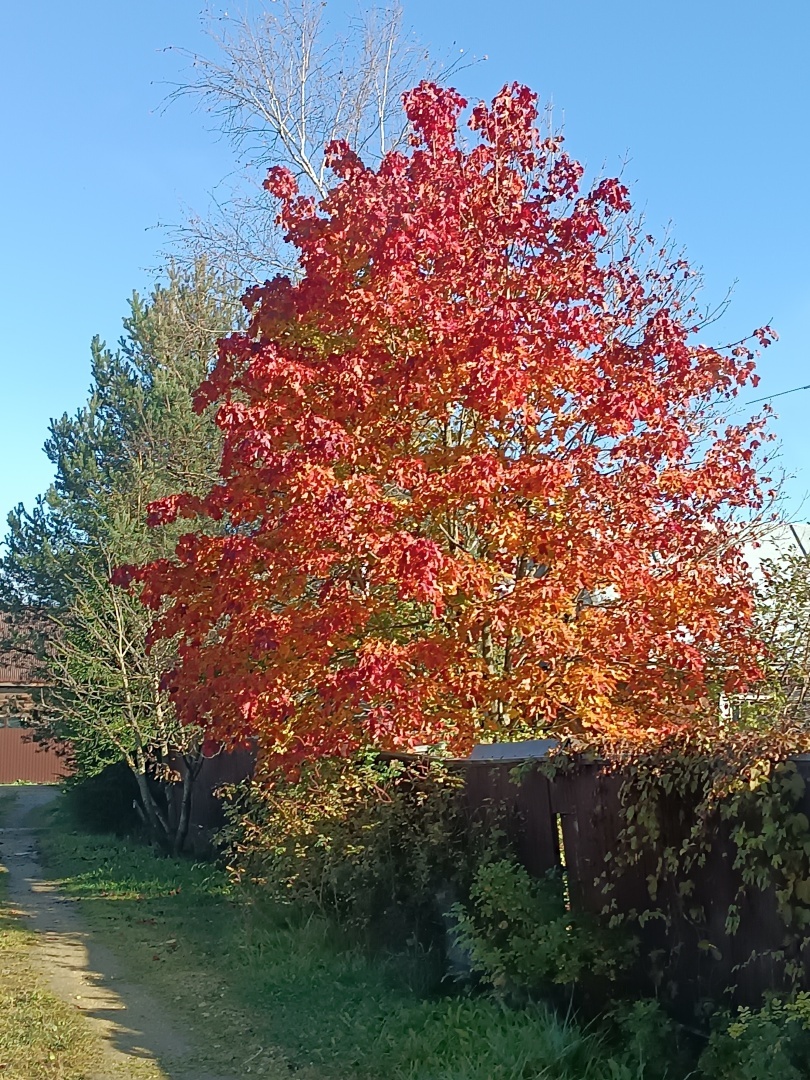 Книги, которые нас выбирают.