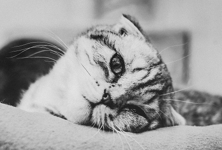 Верховный суд проигнорировал эти доводы водителей в делах о пьянке