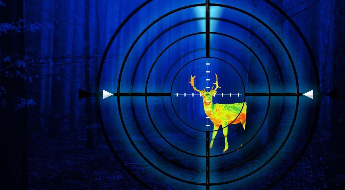 Какой тепловизор лучше купить для охоты