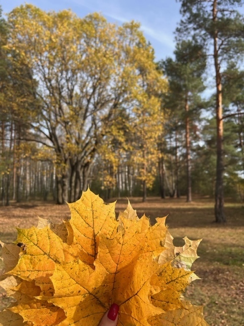 Октябрь в конверте