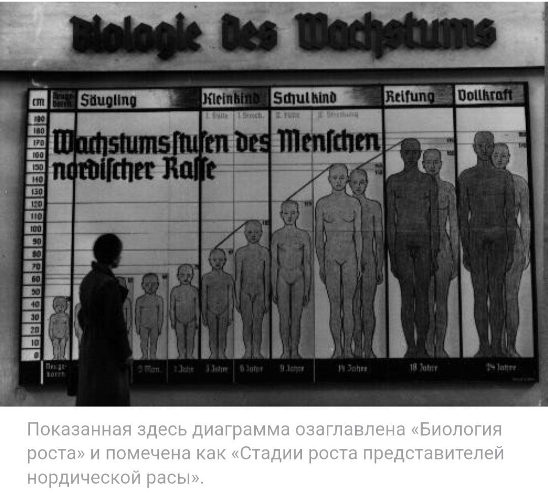 Откуда пошло образование на Украине. У кого в руках молодежь, у того в руках и будущее...