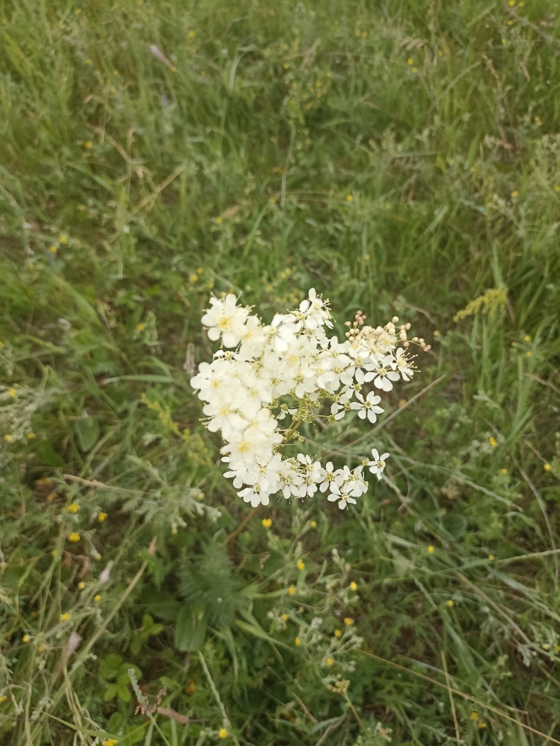 Из города в село.История новой жизни.