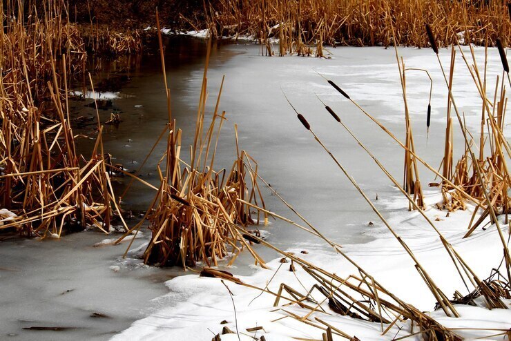 В Свердловской области двое детей провалились под лед и погибли