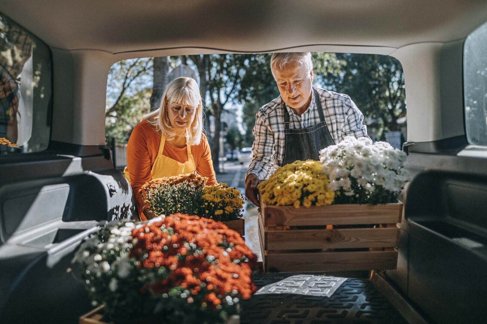 Социальное обеспечение выплатит самые большие чеки за всю историю в 2025 году. Вот сколько они будут
