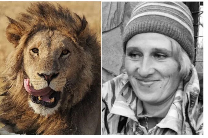 Хищники не прощают ошибки! Сотрудница парка львов была растерзана на рабочем месте!
