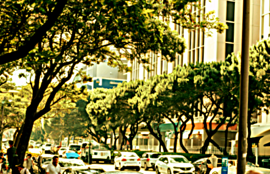 Автомобильная афера года: быстрая потеря железного друга