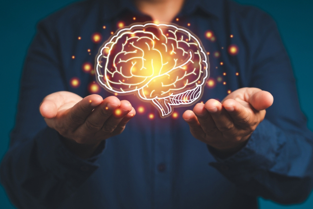 Учёные научились использовать магниты для целенаправленного отключения определённых нейронных связей в мозге