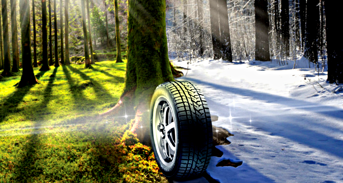 Подержанная или восстановленная - какая резина лучше, если нет новой