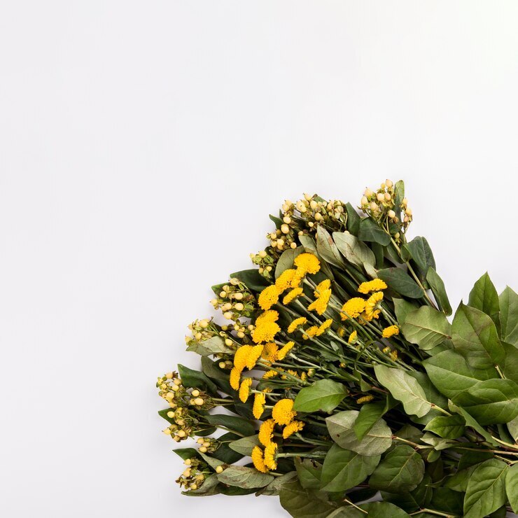 Бабушкины рецепты красоты для здоровой кожи лица и волос, натуральная косметика всегда в моде