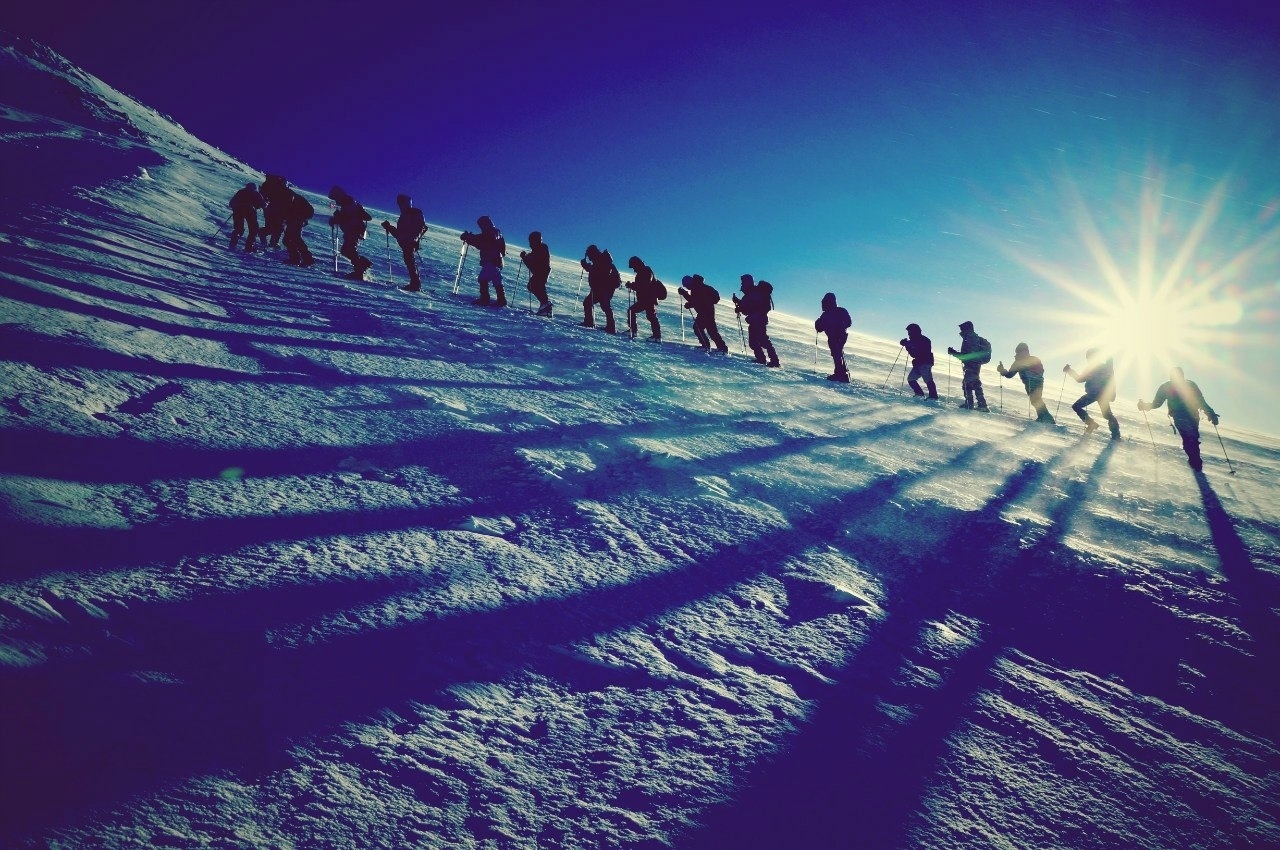 Итоги викторины «Что бы это значило?» Называем победителей🎉🥇