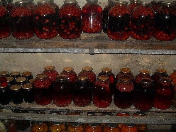 А вы заготовили компот на зиму?