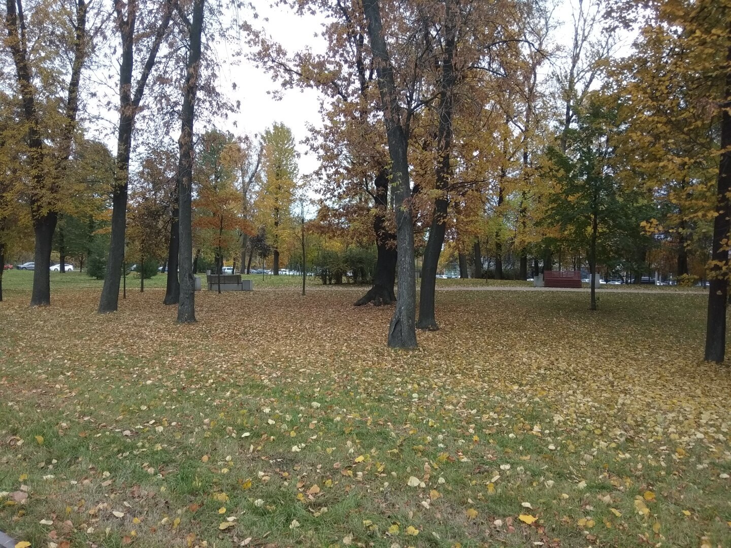 Осень в городе. Золотая пора в Санкт-Петербурге (фото)