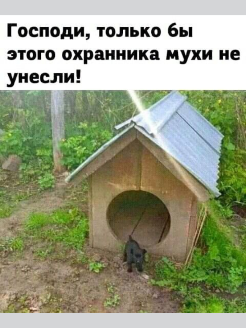 Весёлые картинки (выпуск 51)