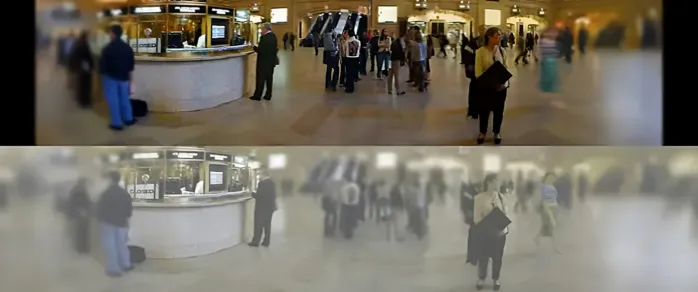 Как видят кошки наш мир