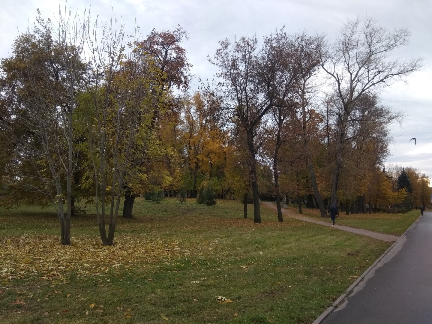 Осень в городе. Золотая пора в Санкт-Петербурге (фото)