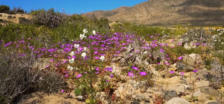 Загадочные природные явления
