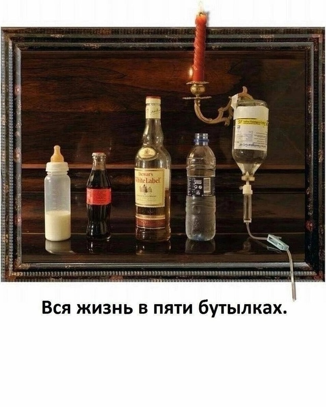 Лемминги пацифисты на чужбине - беда