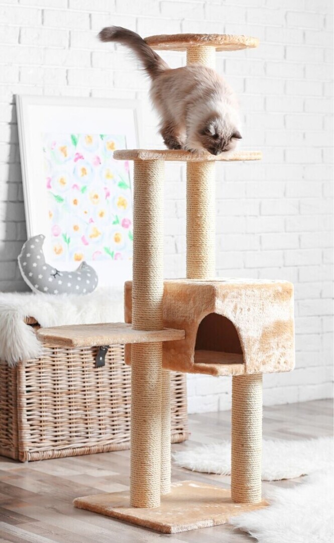 Игровые площадки для кошек.