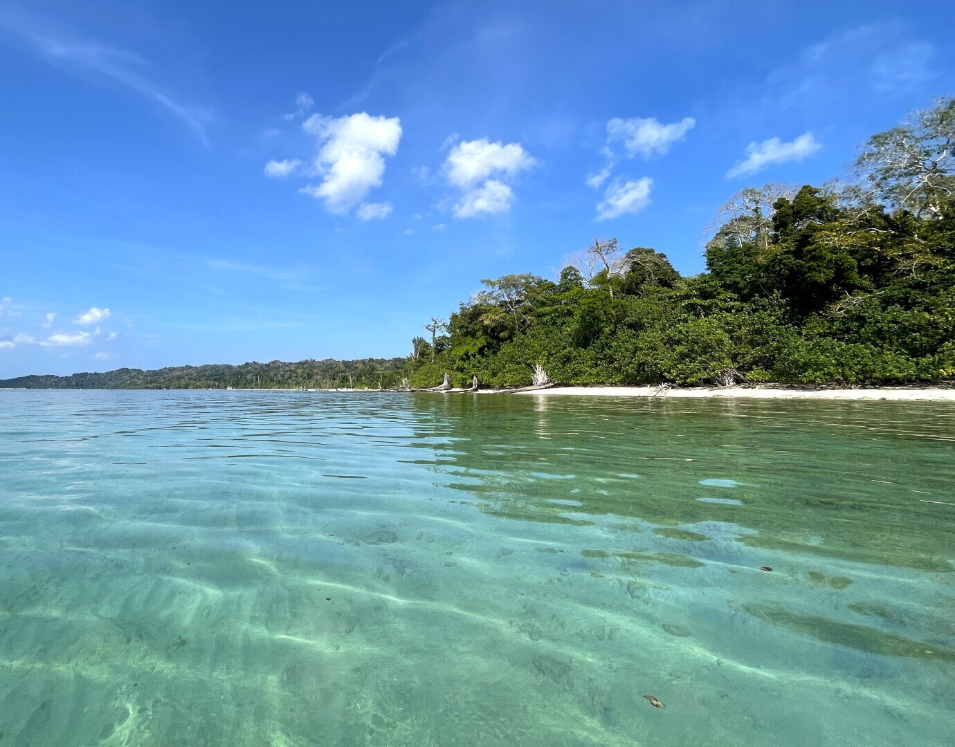 Лирическое, индийское про островитян на Хэвлоке – наивные как дети