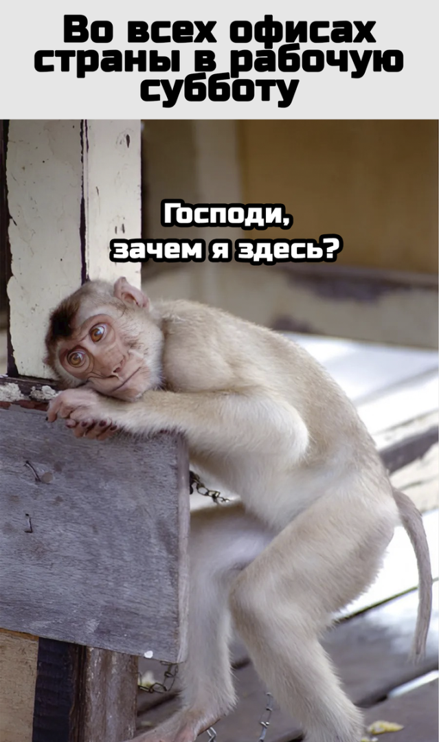 Какие рабочие субботы будут в 2025 году. Какие рабочие субботы будут в 2025 году